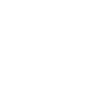 Custom Image